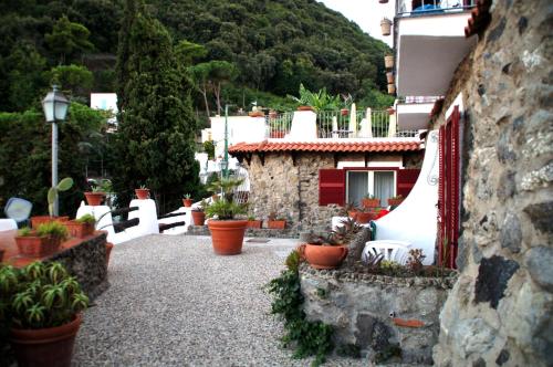 Hotel Don Pedro - image 5