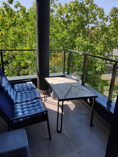 Apartman Sofija, Banja Koviljača (foto 8)