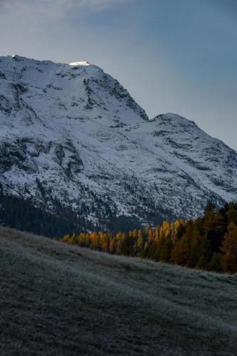 Cresta Palace Celerina St Moritz active-in and experience-out - image 4