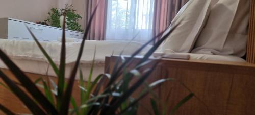 Comfy apartment- Sunny balcony, Tirana (photo 3)