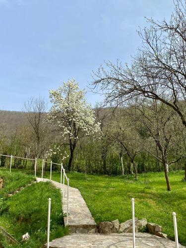 Atlantis Home - image 9