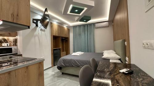 Luxury Semi Basement Apartment with Terrace 2