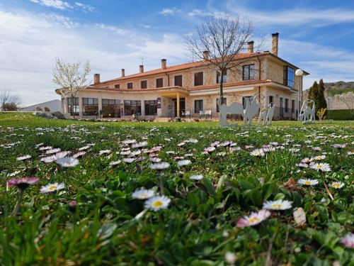 Prado de las merinas - Hotel - Caleruega