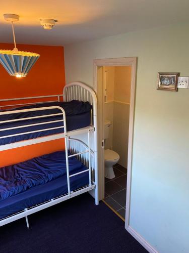 Seaview Lodge Room Type - Bunk Bed in Mixed Dormitory Room