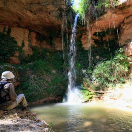 Attractions, Habitacion y Bano Privado, Tranquilidad y Naturaleza. in Esplugues de Llobregat