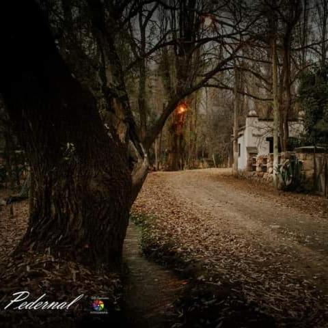 La chana in 비야 아베라스타인