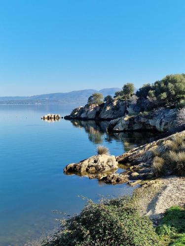 Appartamento Gargano