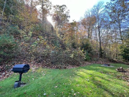 Hocking Hills Cabin-Private Hot Tub, Hiking, Caves in Rockbridge, USA