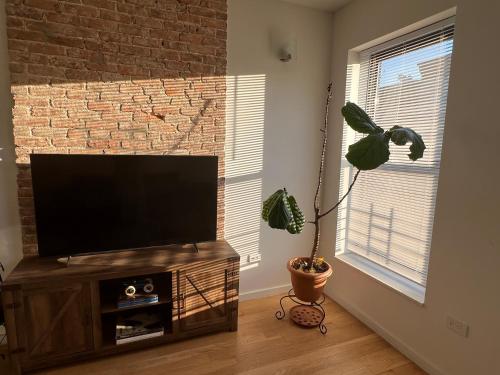 1 Bedroom in apartment in Bedstuy Brooklyn in Brooklyn, USA