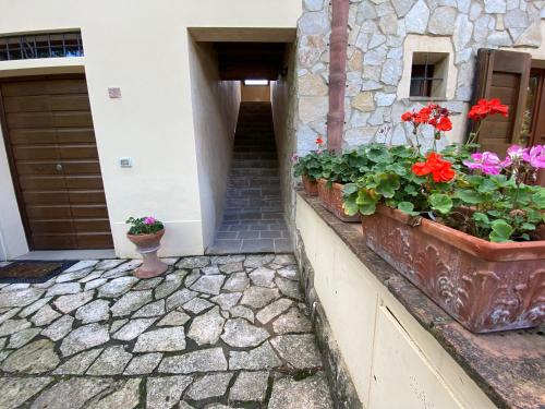 Il Nido, Gambassi Terme (fotografie 3)