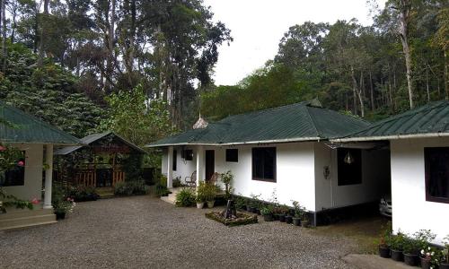 Mist Nest Cottage Munnar