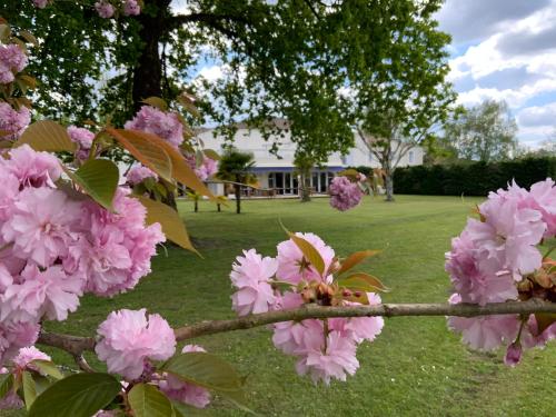 Le Renaissance - image 14