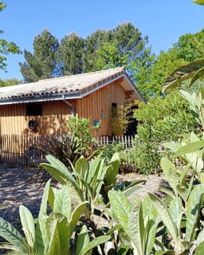 Maison de vacances 2 chambres plages lac à 600m proche Dune du Pilat Océan dans propriété privée - Location saisonnière - Sanguinet