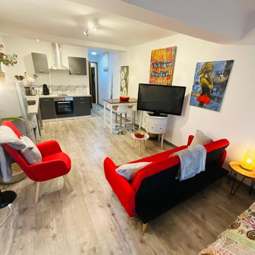 No 25 superbe apartment plein centre calme ,Netflix - Apartment - Mirepoix