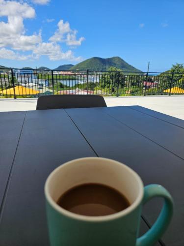Oasis with Pool Hot Tub & Sauna, Rodney Bay Village (foto 7)