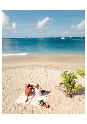 Oasis with Pool Hot Tub & Sauna, Rodney Bay Village (foto 8)