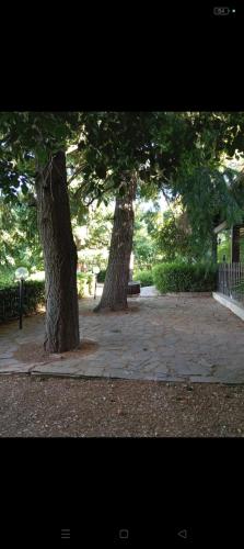 Casa Vacanza La Sorgente chambre d'hôte Corigliano Calabro