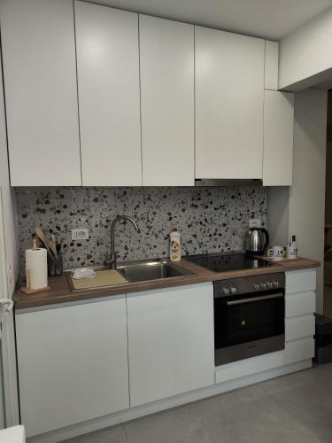 Mia Lake Apartament, Tirana (Foto 8)