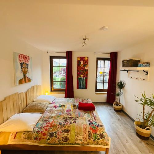 Hôte Labyrinthe lit 180 cm salle de bain, petit dej compris chambre d'hôte Mirepoix