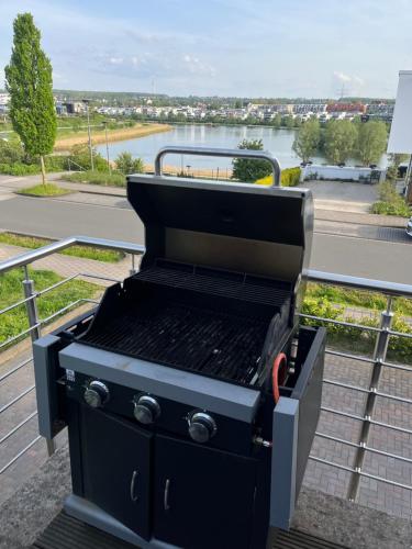 Haus mit Panoramablick auf den Phönixsee, Dortmund (fotografie 10)