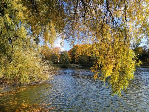 Sports and activities, Sweet Little Home Mimi in Hohenschönhausen