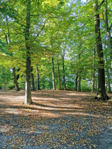 Sports and activities, Sweet Little Home Mimi in Hohenschönhausen