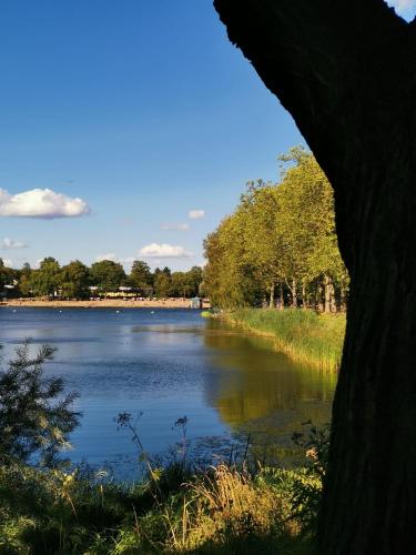 Surrounding environment, Sweet Little Home Mimi in Hohenschönhausen