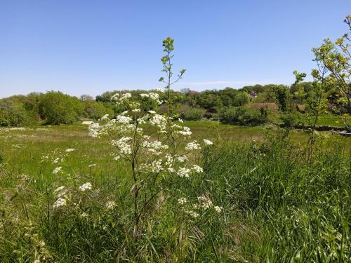 Eco-grange "le clos du Catouillet"