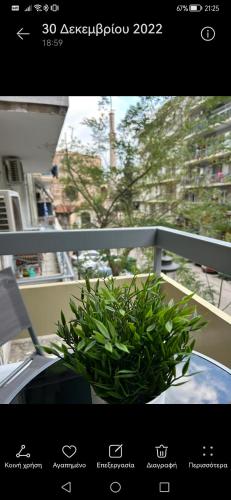 MSK Rotonda Studio 2