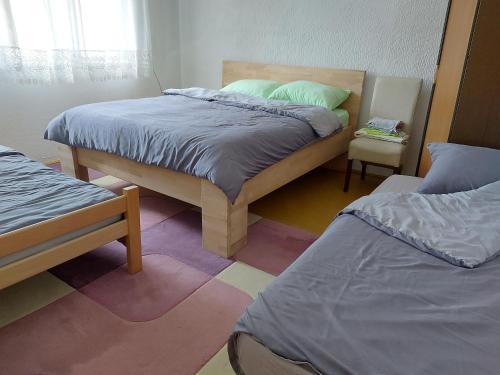Smeštaj Gokčanica (Smestaj Gokcanica) in Goč