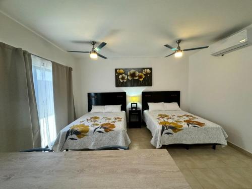 ESTUDIOS CORONADO in Cabo San Lucas, Mexico