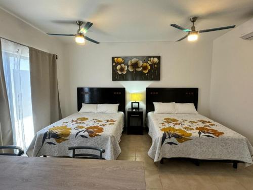 ESTUDIOS CORONADO in Cabo San Lucas, Mexico