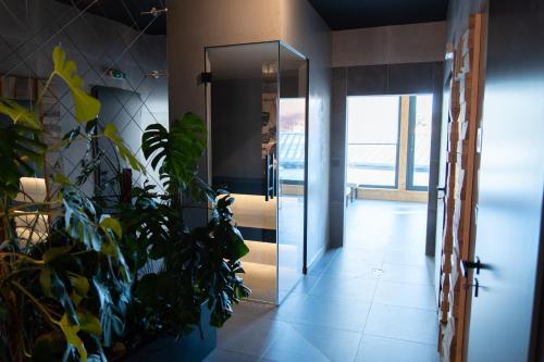 Sauna, Penzion Tsport in Votice