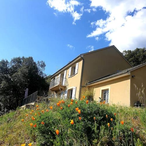 Magnifique villa au cœur des Cévennes