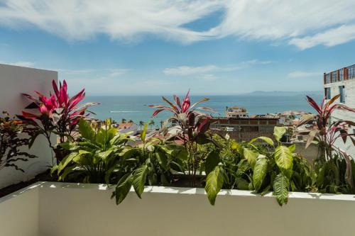 Casa Nawalli Puerto Vallarta Boutique Hotel - Adults Only