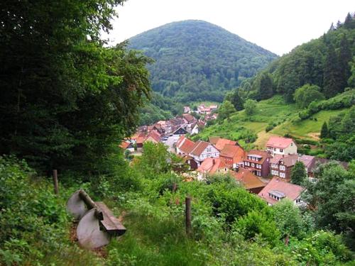 Spacious group house in the Harz region