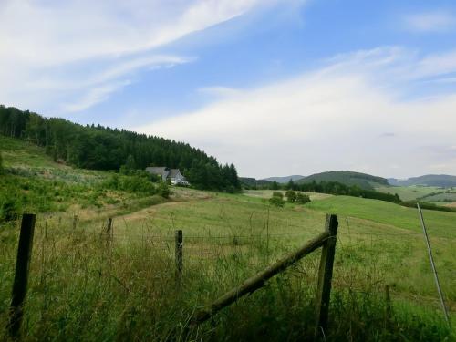 Cosy apartment in Menkhausen near the ski area