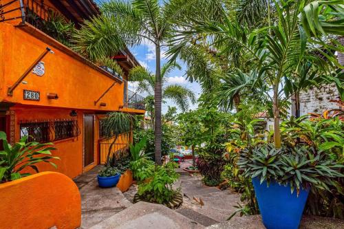 Studio Tropical - Stunning Garden -Cathedral Views in Puerto Vallarta, Mexico