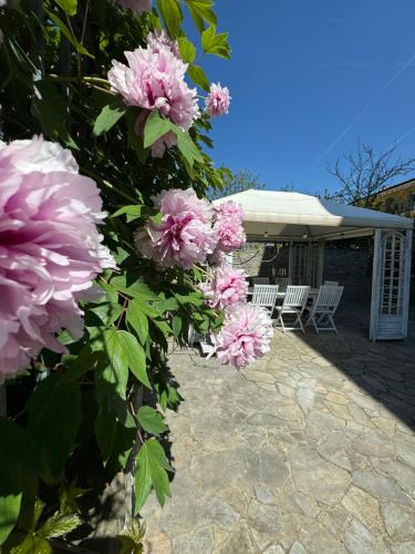 ElleCi Casa Vacanze 3