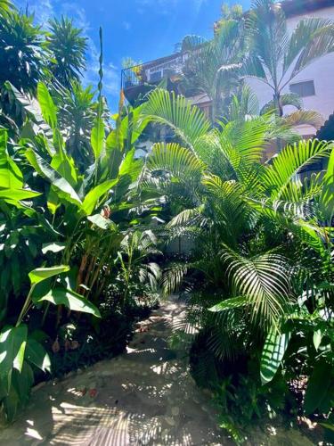 Studio Romantique - Tropical Garden in Puerto Vallarta, Mexico