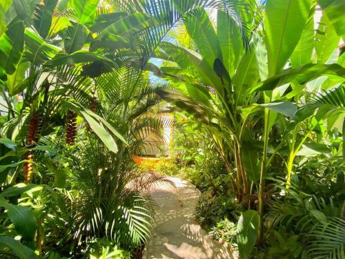 Studio Jardin Secret - Charming Garden in Puerto Vallarta, Mexico