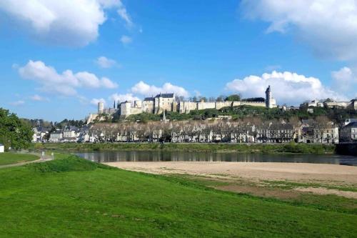 Cerca de lugares turísticos, Logement neuf et cosy proche centre ville in Chinon