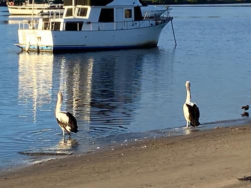 Lorsens on the River - Shoalhaven Heads