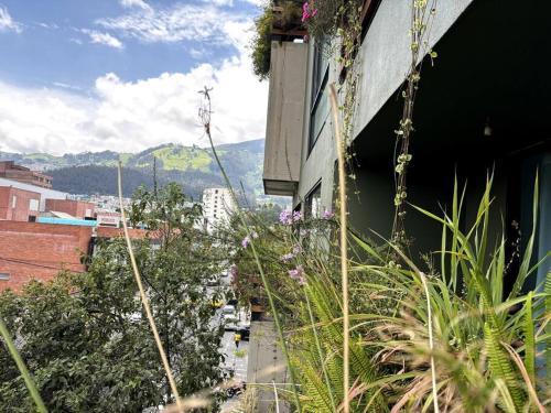 Quito Auténtica, Ecológica y Pintoresca (Quito Autentica, Ecologica y Pintoresca) in เบลิซาริโอ เกเบโด