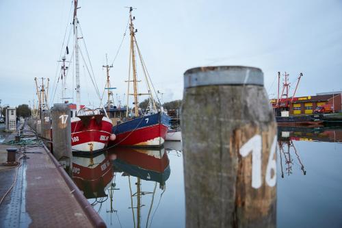 Binnendiek Haus 1 Comfort-Apartment 3