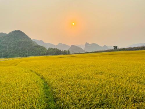 Huy-Homestay, Phong Nha