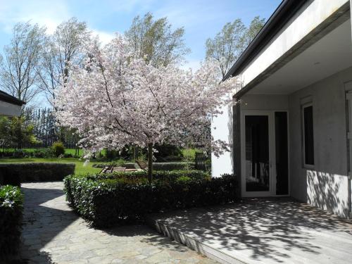 Garden, Seatonwood Villas in Swannanoa