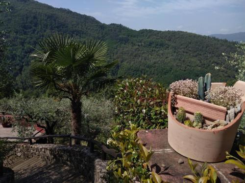 Piscina esclusiva, giardino, vista straordinaria