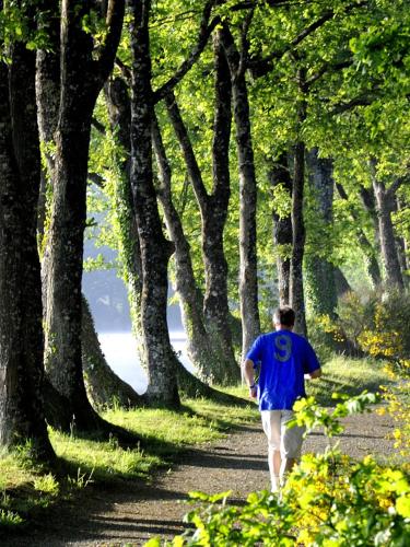 Au Relais Du Gué De Selle - image 9