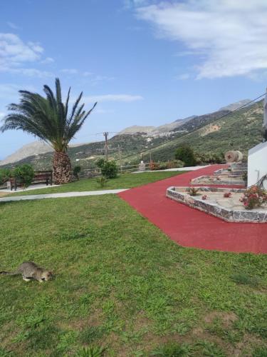 Chrisanthi Studios & Apartments, Plakias (foto 3)